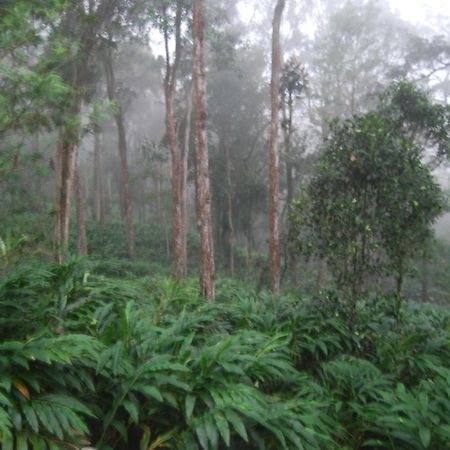 Greenspaces B&B Munnar Exterior photo