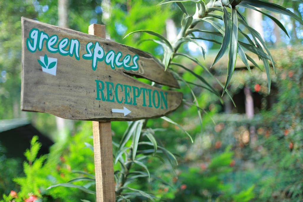 Greenspaces B&B Munnar Exterior photo