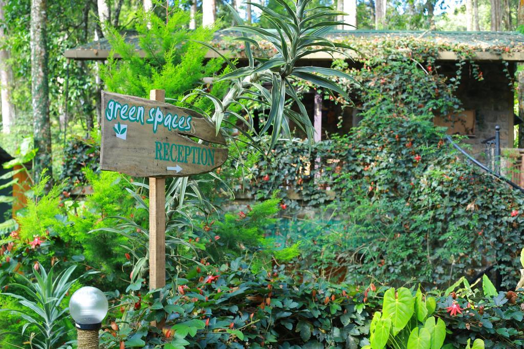 Greenspaces B&B Munnar Exterior photo