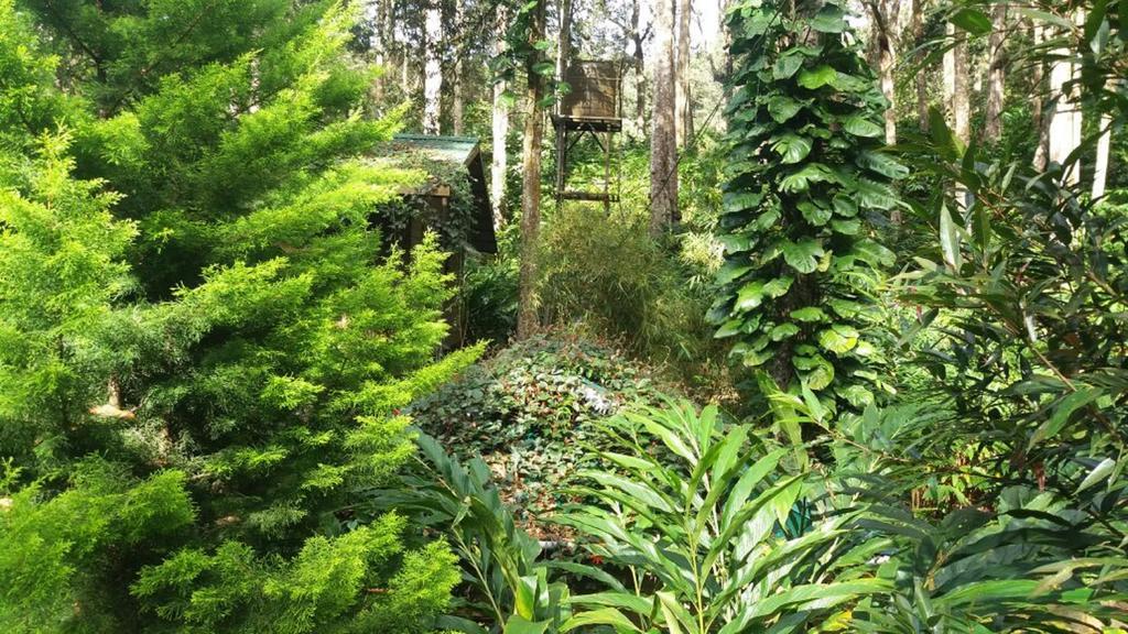 Greenspaces B&B Munnar Exterior photo