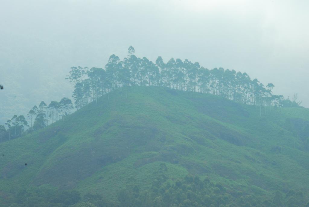 Greenspaces B&B Munnar Exterior photo