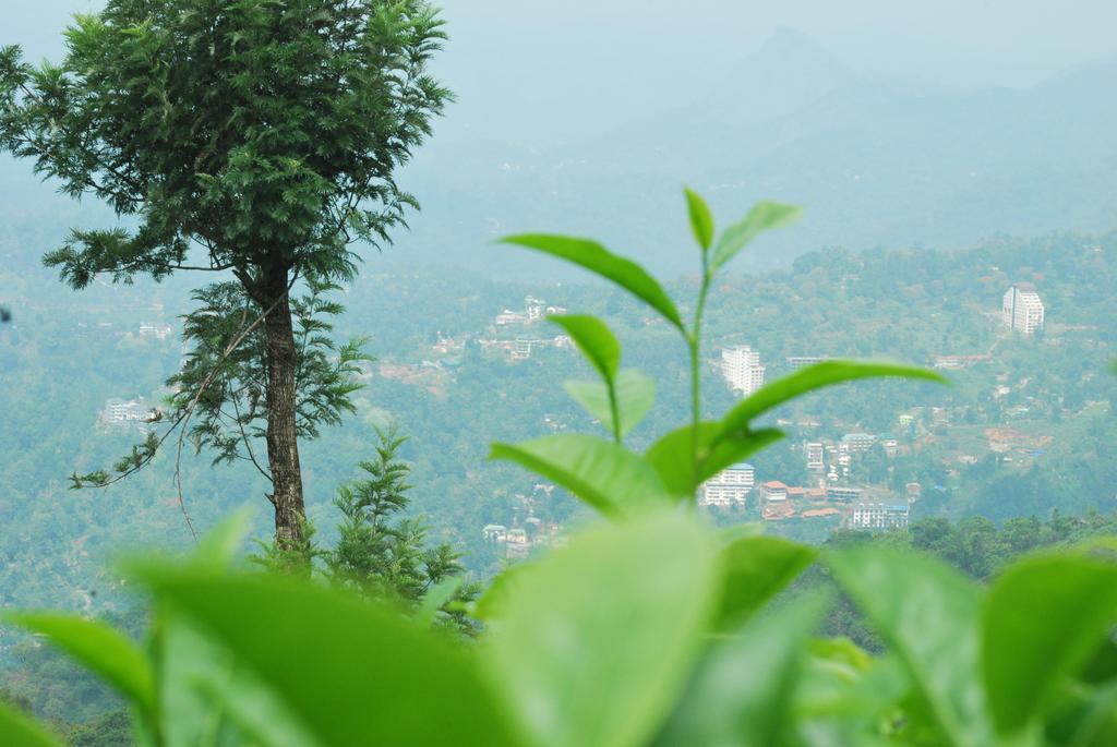 Greenspaces B&B Munnar Exterior photo