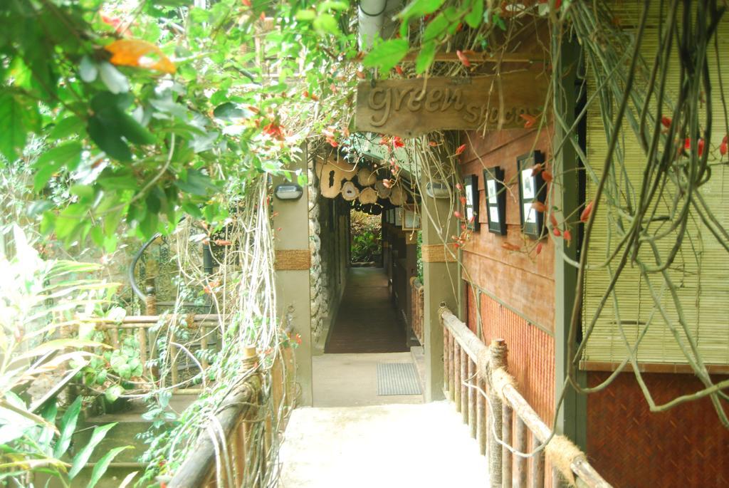 Greenspaces B&B Munnar Exterior photo