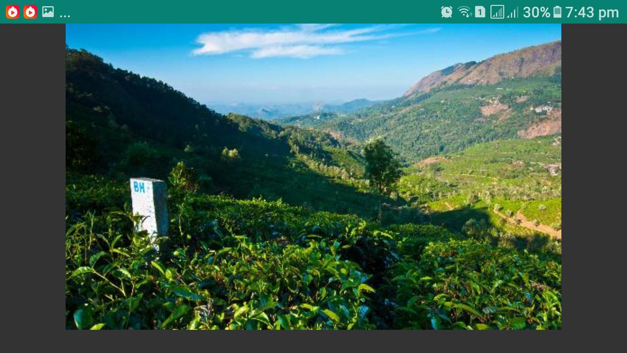 Greenspaces B&B Munnar Exterior photo