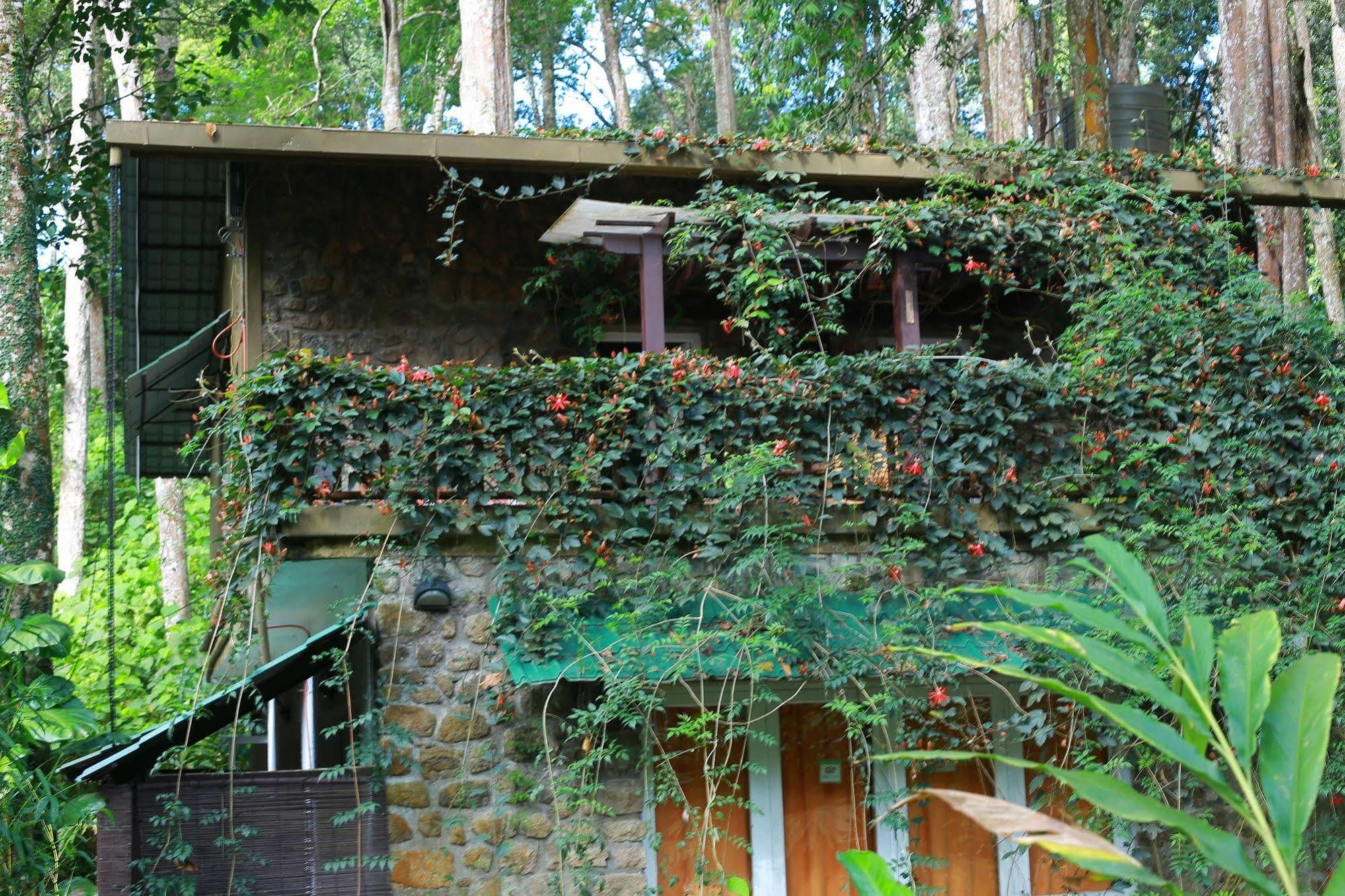 Greenspaces B&B Munnar Exterior photo